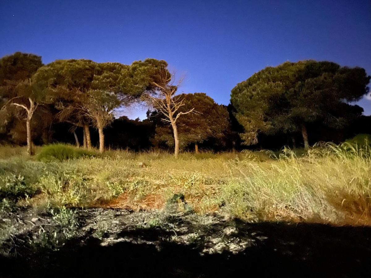 Casa De La Duna Costa Blanca ลามาตา ภายนอก รูปภาพ